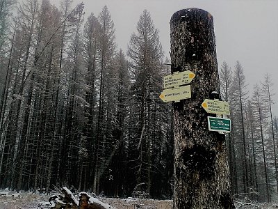 Směrovka ke zřícenině hradu Ronovec