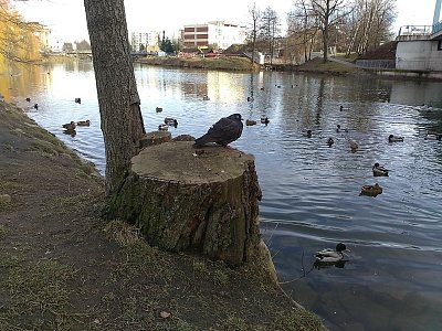 S nadhledem jde všechno líp