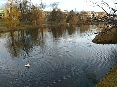 Přítok Petrkovského potoka do Sázavy