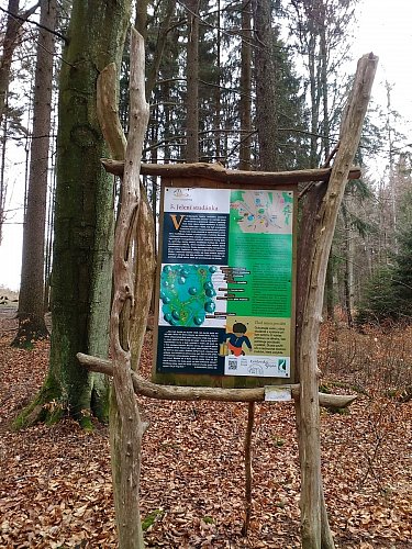 Vyprávění o Jelení studánce