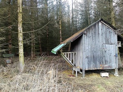 Když zde jsou krmelce, jistě není nouze o zvěř. Vidět jsou i čerstvě nasypané kaštany.