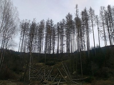 Hrdí pozůstalí  - zatím ještě stojí, jak dlouho?