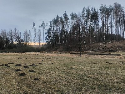 Přes tuto dlouhou pláň se vracím asi 500 metrů a nabírám správný směr.