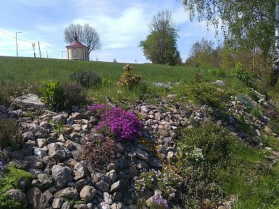 Do Vilémovic se vracím jinou cestou (beze značek), jdu ke kapličce