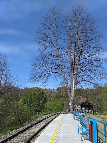 Vlaková zastávka Vilémovice - zde jsem začala a rovněž zakončila zajímavý okruh