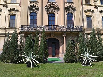 Část zadního průčelí zámku s výhledem do rozsáhlého parku