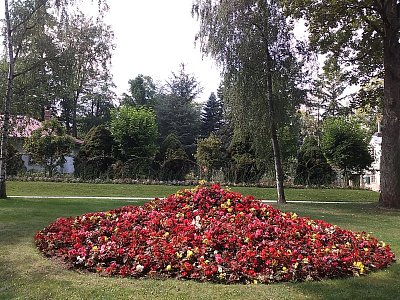 Nejen stromy a keře, ale i záhony a upravené cestičky zdobí Jiráskovy sady