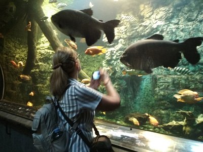 Akvárium HK-Zdena ,,loví"