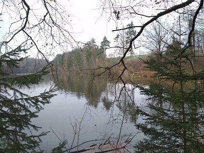 Drátovec-rybník