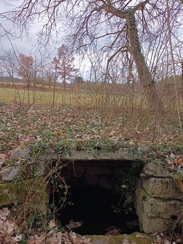 Studánka za kaplí