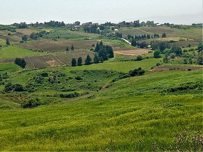 Typická krajina v Kabylii
