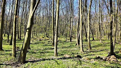 img-20230422-121008-1.jpg
