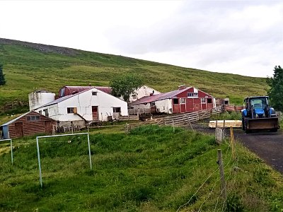 2023 - farma na severu Islandu