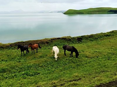 2023 - jezero Mývatn