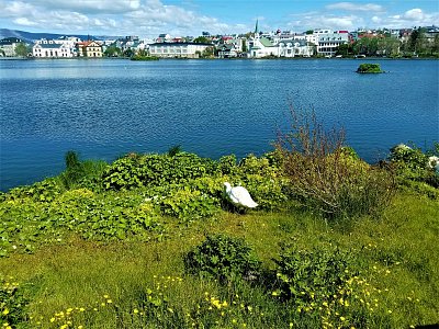 2023 - pohled na jezero v centru Reykjavíku