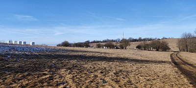img-20240129-130624-1.jpg