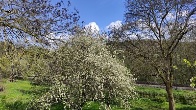 img-20240425-151957.jpg