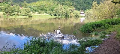 Berounka