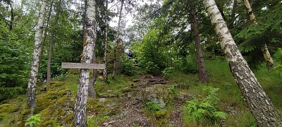 img-20240524-134934.jpg