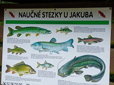 Tabule naučné stezky