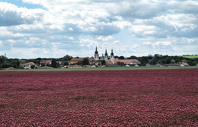 Doksany