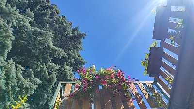 img-20250619-144323.jpg