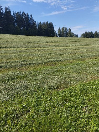 img-20250807-161111.jpg