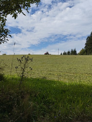 img-20250808-131727.jpg