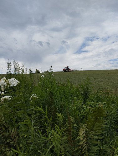 img-20250808-134241.jpg