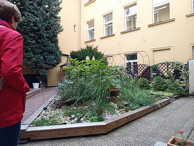 img-20250922-110302.jpg