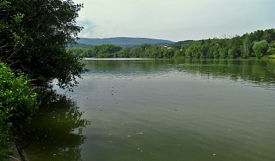 img-2303.jpg