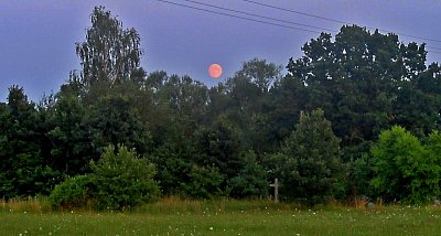 img-2878-1.jpg