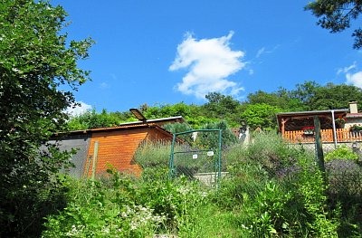 img-3552-1.jpg