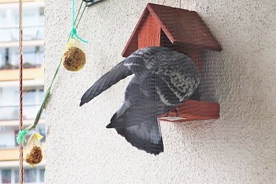 img-3664.jpg