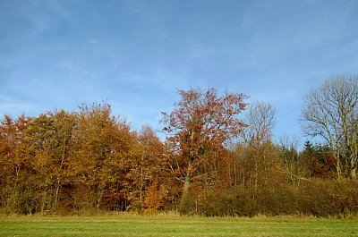 img-4309-2.jpg
