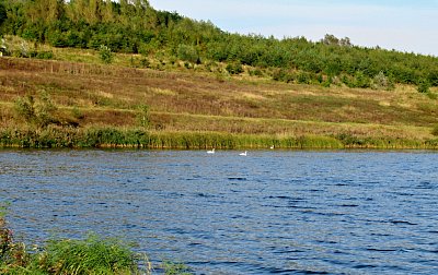 img-4604-2.jpg