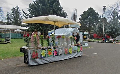 img-5779-1.jpg