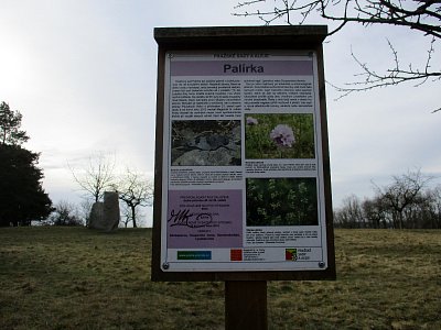 třešňovka Palírka