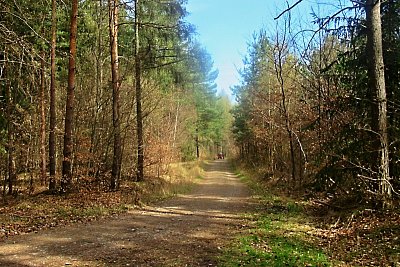img-6048.jpg