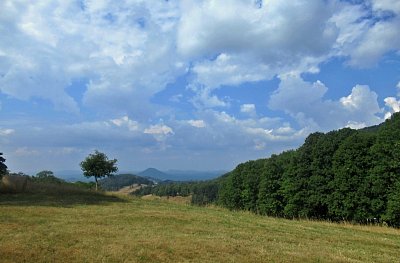 img-7784.jpg