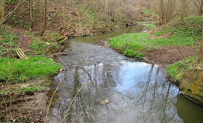 img-9649.jpg