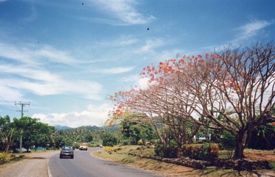 Samoa - silnice ve vnitrozemí Upolu