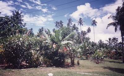 Samoa - vesnická krajina