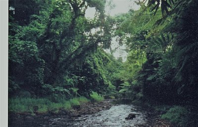 Samoa - řeka ve vnitrozemí Upolu