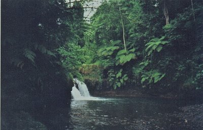 Samoa - řeka ve vnitrozemí Upolu