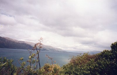 Typická krajina jižního ostrova