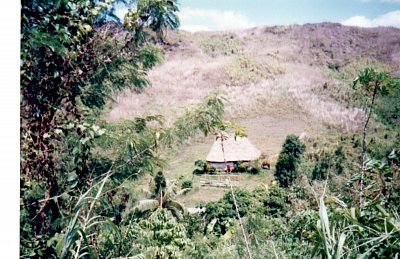 Fidži - pohled na domorodou chýši