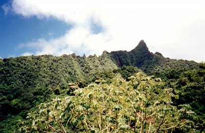 Vnitrozemí Rarotongy