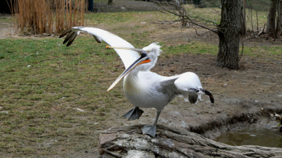 Jak říkám, bude jaro!!!