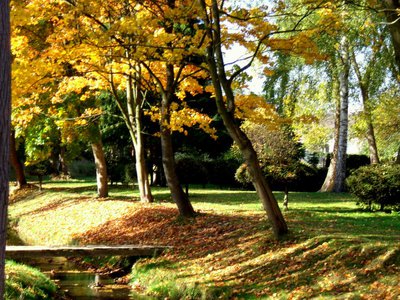 Podzim jako malovaný